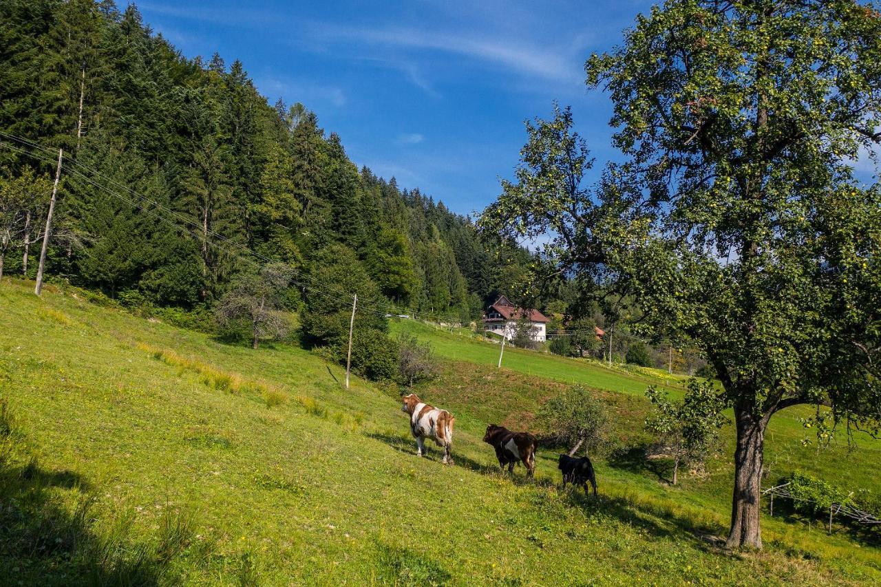 Apartmán Rose Garden Ljubno Exteriér fotografie