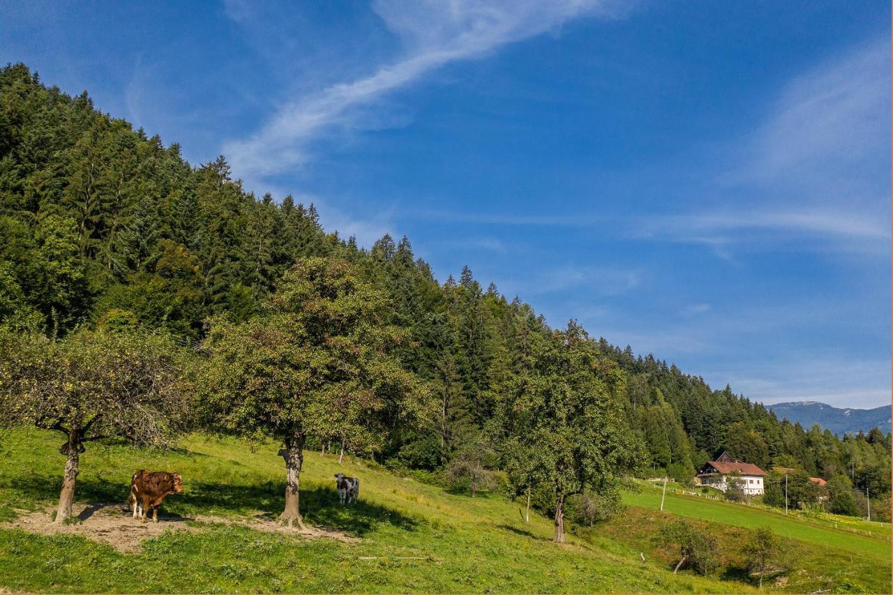 Apartmán Rose Garden Ljubno Exteriér fotografie